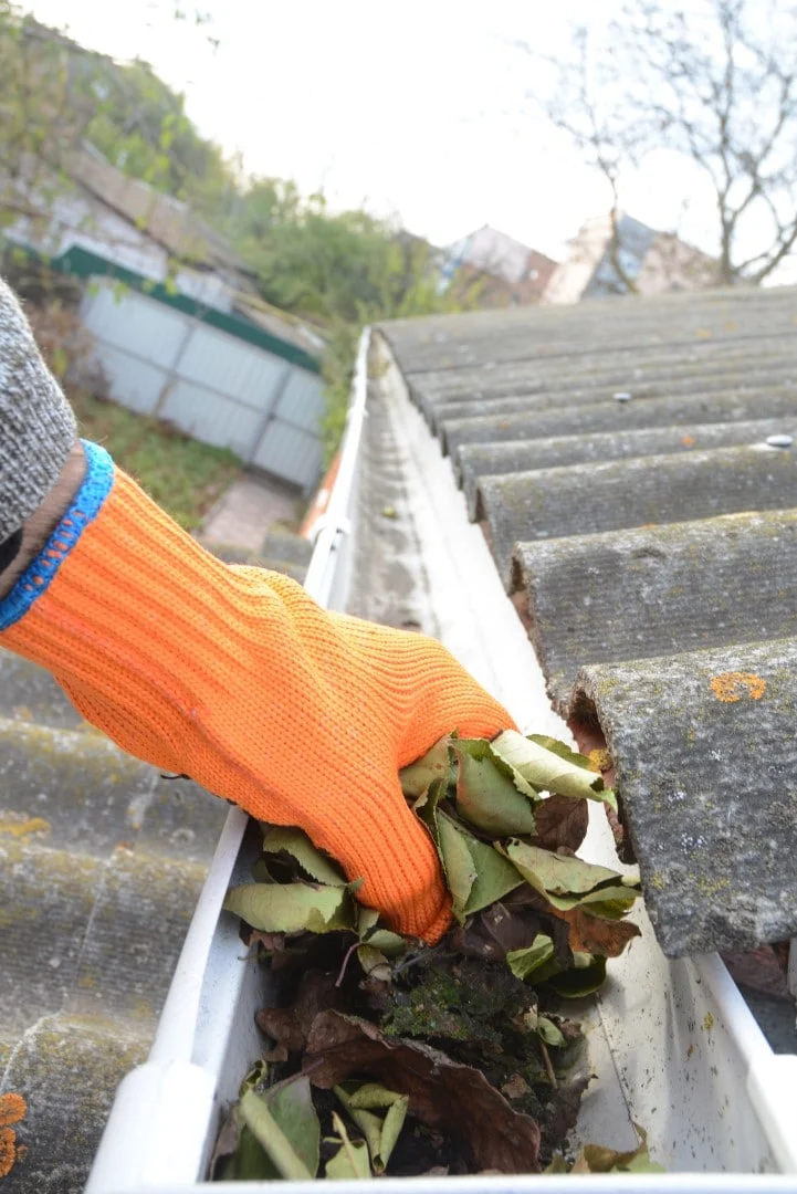 Clearing an Auckland gutter by hand